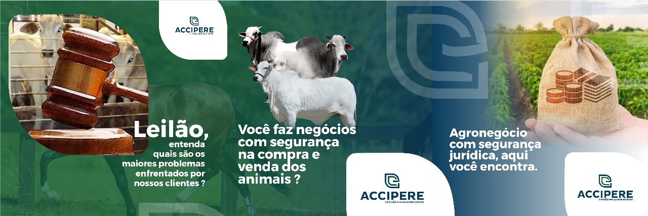 Accipere — Gestão em Agronegócio